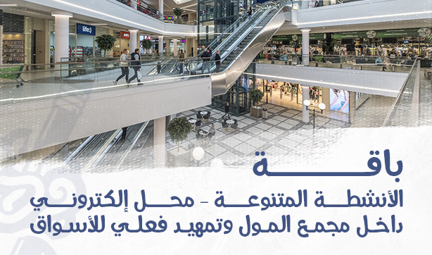 Diverse Activities Package – An Online Store Within the Mall Hub… and Real Market Access Preparation